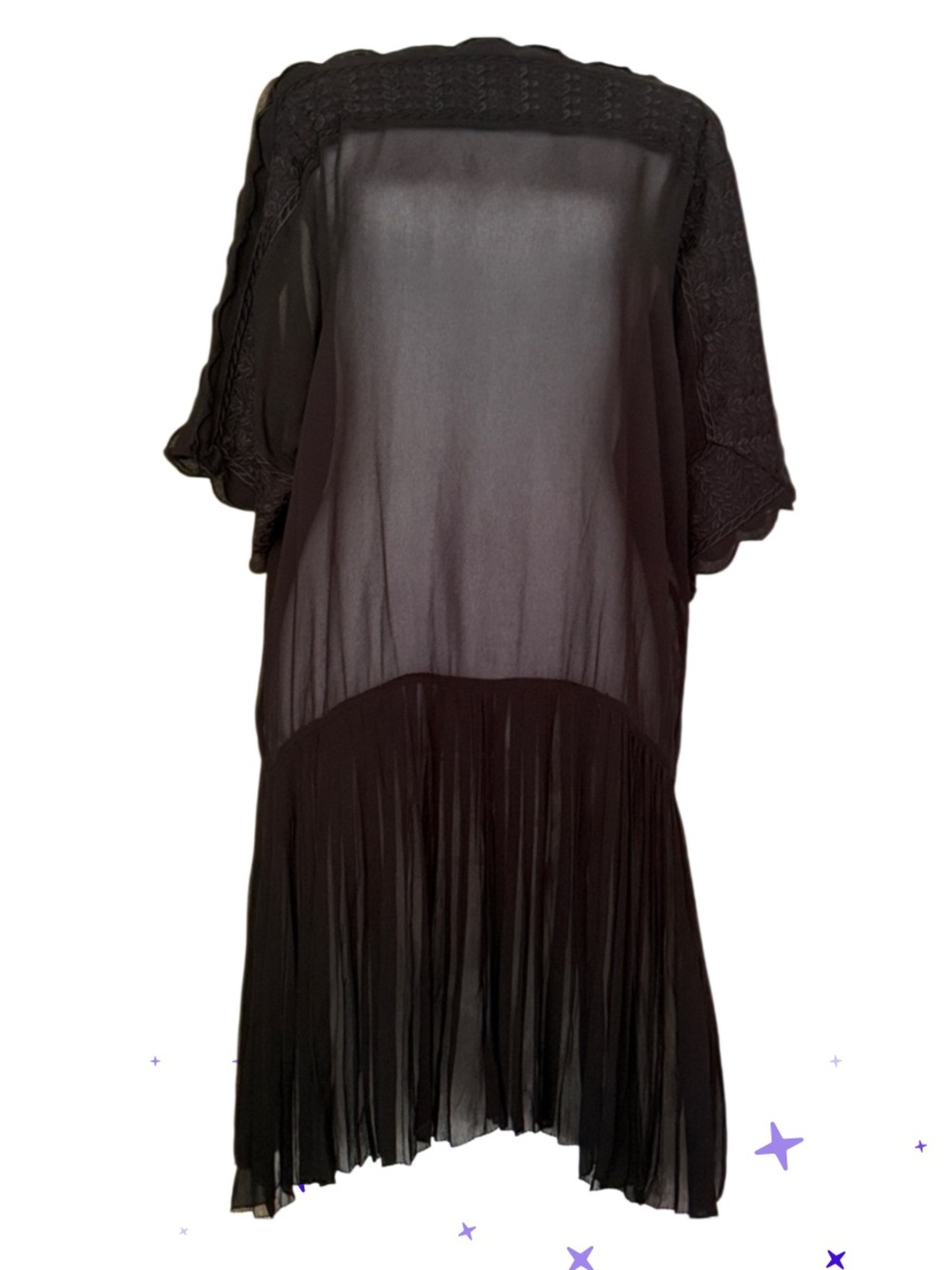 Isabel Marant Étoile Sheer georgette dress embroidered pleated skirt no liner 36